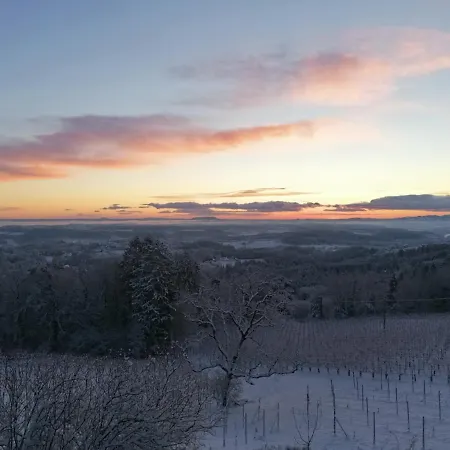 Winzerei Schober Apartmán Grubberg