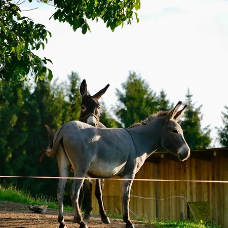 Winzerei Schober * Grubberg
